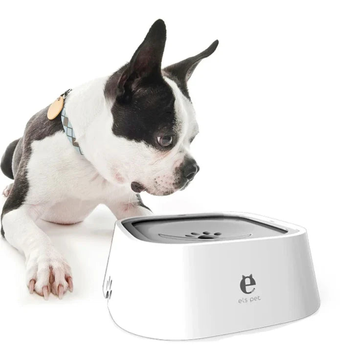 Dispensador De Agua Para Perros, A Prueba De Derrame - Elspet