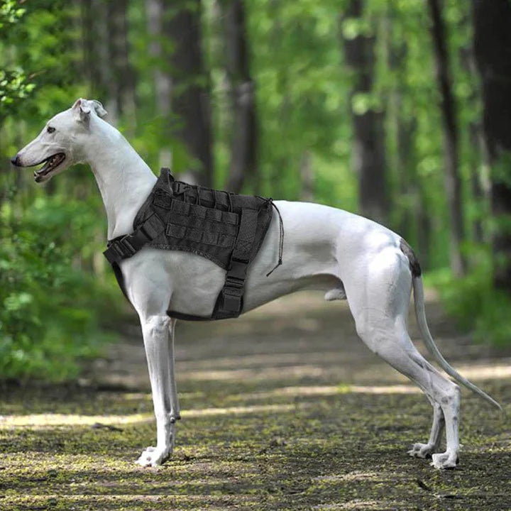 Pechera Chaleco Táctico Arnés Para Mascota Perro